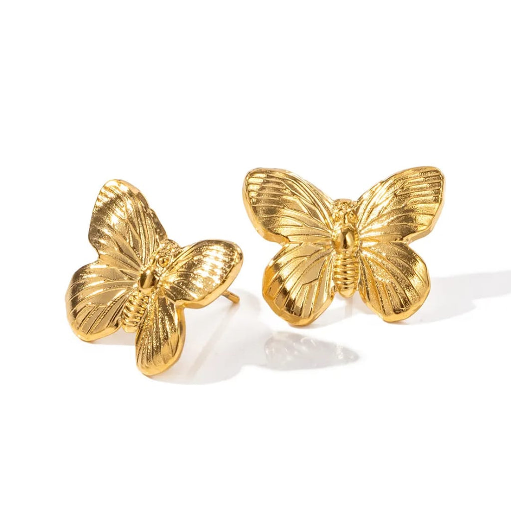 Mariposa de campo
